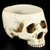 Totenkopf Schale -FIGUREN Verkäufe 10220 6 skull bowl 6 1280x1280