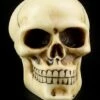 Totenkopf Schaltknauf - Knochenfarben 2 Totenkopf Schaltknauf - Knochenfarben -FIGUREN Verkäufe 10870 0 skull gear knob 1280x1280