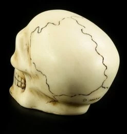 Totenkopf Schaltknauf - Knochenfarben -FIGUREN Verkäufe 10870 2 skull gear knob 2 1280x1280