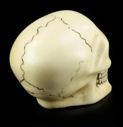 Totenkopf Schaltknauf - Knochenfarben -FIGUREN Verkäufe 10870 4 skull gear knob 4 1280x1280