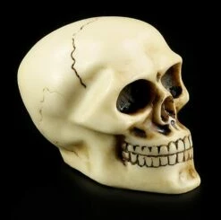 Totenkopf Schaltknauf - Knochenfarben -FIGUREN Verkäufe 10870 6 skull gear knob 6 1280x1280