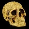 Totenkopf Mit Keltischen Symbolen -FIGUREN Verkäufe 11522 0 totenkopf kelten 1280x1280
