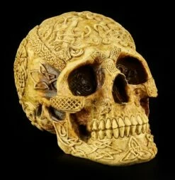 Totenkopf Mit Keltischen Symbolen