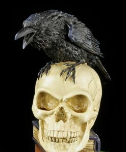Alchemy The Vault - Rabe Auf Totenkopf - Poes Raven 17 Alchemy The Vault - Rabe Auf Totenkopf - Poes Raven -FIGUREN Verkäufe 11545 7 poes raven 7 1280x1280