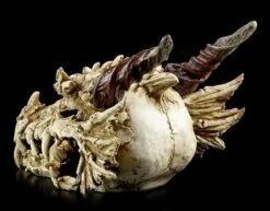 Riesen-Drachenschädel -FIGUREN Verkäufe 1202 1 drachenschaedel 1 1280x1280