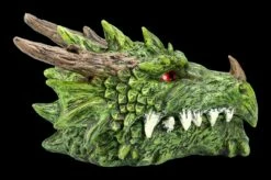 Schatulle - Grüner Drachenkopf 13 Schatulle - Grüner Drachenkopf -FIGUREN Verkäufe 2D 837 2108 Schatulle Gruener Drachenkopf 4 1280x1280