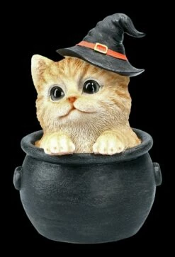 Tabby Hexen-Katze In Kessel