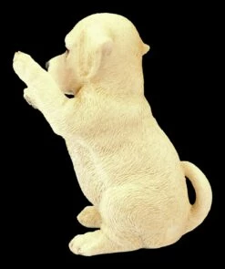 Hunde Figur - Labrador Welpe Macht Männchen -FIGUREN Verkäufe 2D AMI 13809 Hunde Figur Labrador Welpe macht Maaaaennchen 2I0mrQKuouryGw 1280x1280