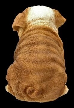 Hunde Figur - Bulldogge Welpe 13 Hunde Figur - Bulldogge Welpe -FIGUREN Verkäufe 2D AMI 13812 Hunde Figur Bulldogge Welpe 4 1280x1280