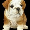 Hunde Figur - Bulldogge Welpe -FIGUREN Verkäufe 2D AMI 13812 Hunde Figur Bulldogge Welpe 6 1280x1280