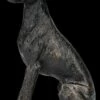 Hunde Figur - Windhund Greyhound Bronze-Effekt -FIGUREN Verkäufe 2D ERstzbilder FS24394 1 1280x1280