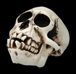 Affen Totenkopf Mit Beweglichem Unterkiefer 15 Affen Totenkopf Mit Beweglichem Unterkiefer -FIGUREN Verkäufe 2D Ersatzbilder FS20087 Y8036 9 1280x1280