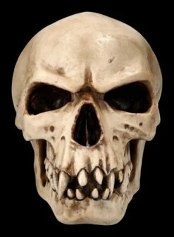 Orc Schädel - Totenkopf 10 Orc Schädel - Totenkopf -FIGUREN Verkäufe 2D Ersatzbilder ML1807 1 1280x1280