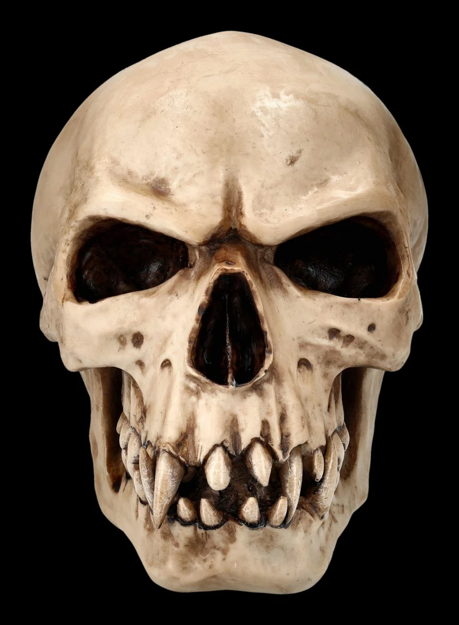 Orc Schädel - Totenkopf 4 Orc Schädel - Totenkopf – Bild 2