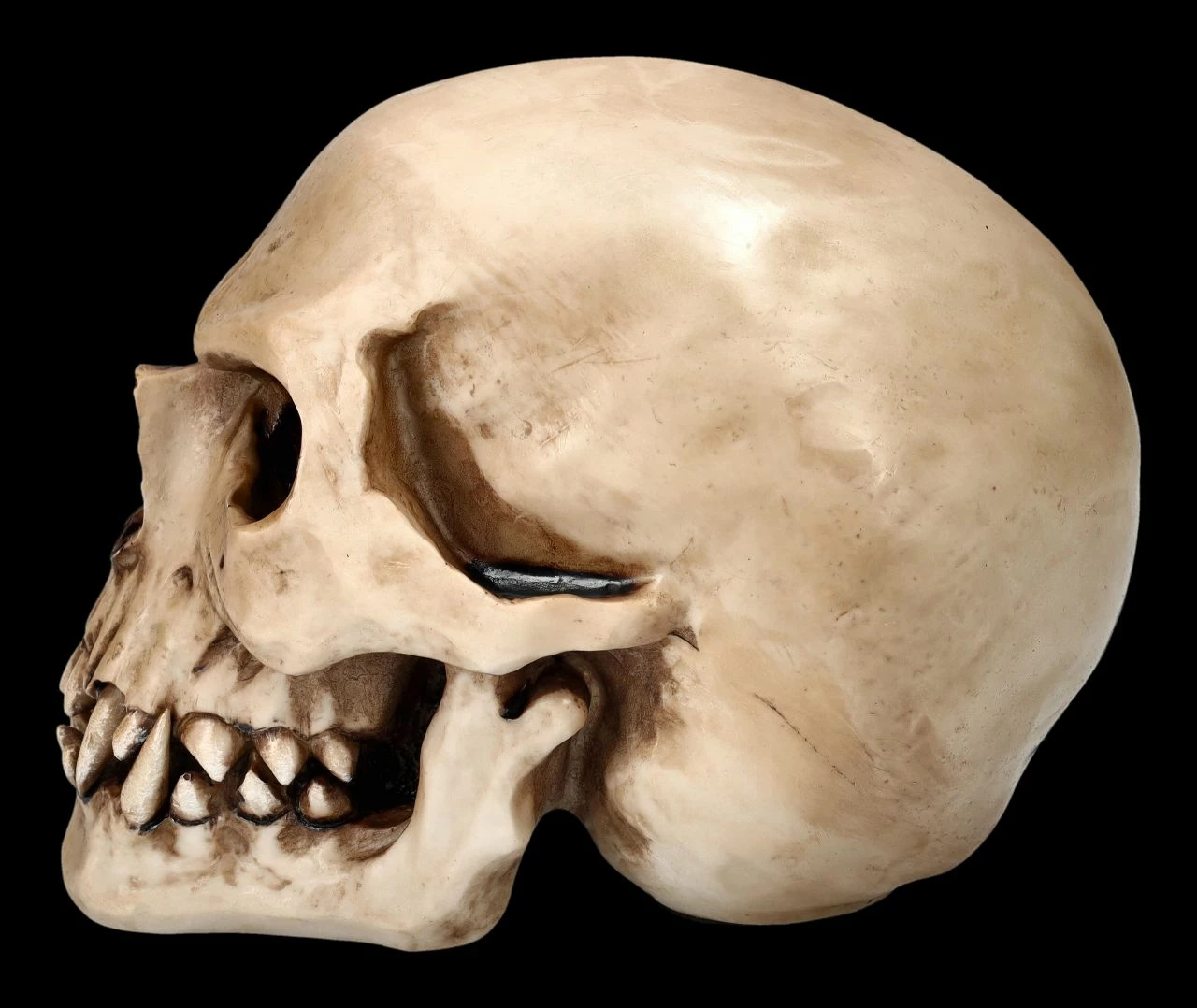 Orc Schädel - Totenkopf 6 Orc Schädel - Totenkopf – Bild 4