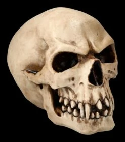 Orc Schädel - Totenkopf