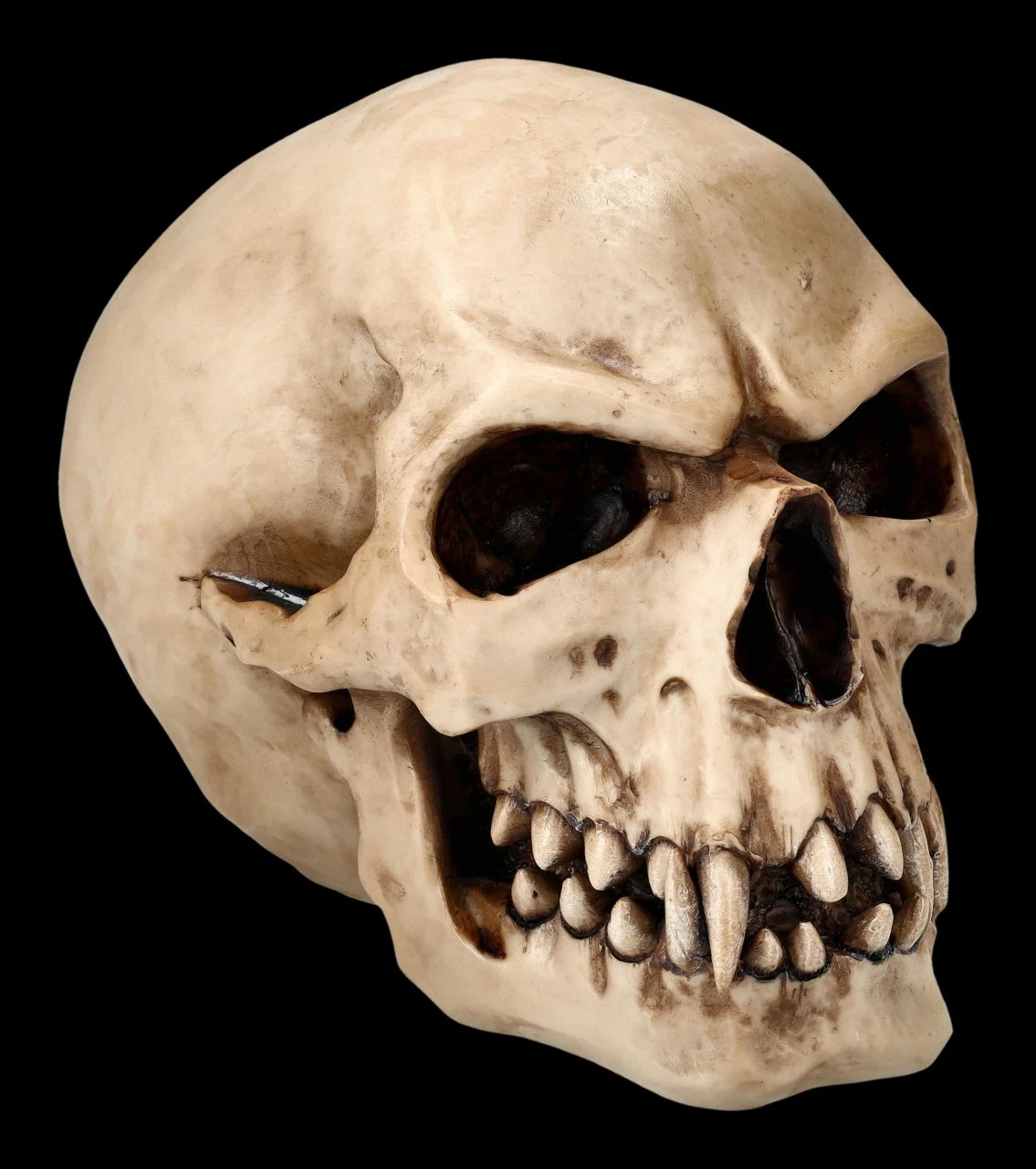 Orc Schädel - Totenkopf 3 Orc Schädel - Totenkopf