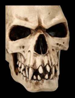 Orc Schädel - Totenkopf 15 Orc Schädel - Totenkopf -FIGUREN Verkäufe 2D Ersatzbilder ML1807 7 1280x1280