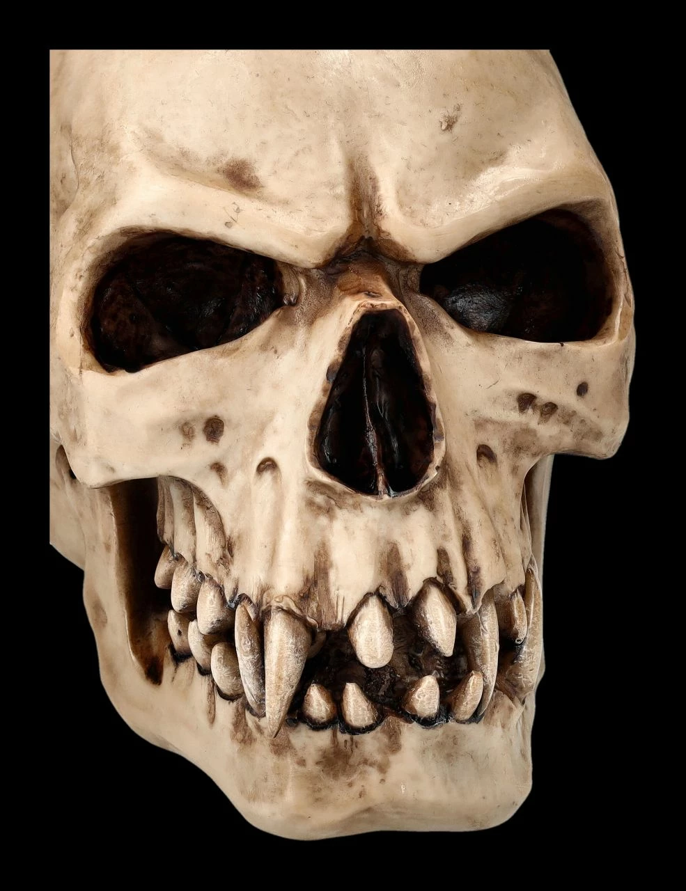 Orc Schädel - Totenkopf 9 Orc Schädel - Totenkopf – Bild 7