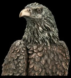 Adler Figur Sitzend Auf Ast 13 Adler Figur Sitzend Auf Ast -FIGUREN Verkäufe 2D FS14877 Adler Figur sitzend auf Ast 2 1280x1280