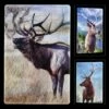 3D Postkarte - Hirsche -FIGUREN Verkäufe 2D FS21005 3D Postkarte mit 3 verschiedenen Motiven Hirsch 0 1280x1280