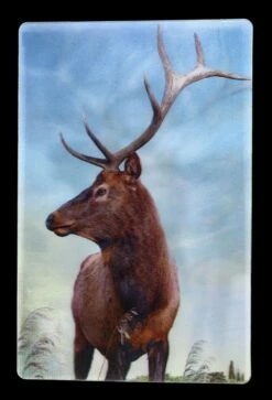 3D Postkarte - Hirsche -FIGUREN Verkäufe 2D FS21005 3D Postkarte mit 3 verschiedenen Motiven Hirsch 4 1280x1280