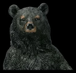 Schwarzbär Figur Aufrecht Stehend -FIGUREN Verkäufe 2D FS21652 Schwarzbaer Figur aufrecht Stehend 3khoAmodjBWhf1 1280x1280