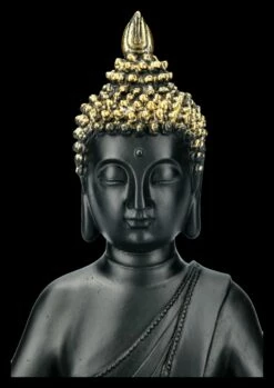 Schwarze Buddha Figur - Lotussitz -FIGUREN Verkäufe 2D FS21816 Schwarze Buddha Figur Sitzend 3 1280x1280