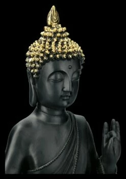 Schwarze Buddha Figur Mit Erhobener Hand 14 Schwarze Buddha Figur Mit Erhobener Hand -FIGUREN Verkäufe 2D FS21817 Schwarze Buddha Figur Sitzend mit erhobener Hand 2 1280x1280