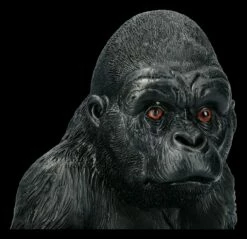 Gartenfigur - Sitzender Gorilla 14 Gartenfigur - Sitzender Gorilla -FIGUREN Verkäufe 2D FS21825 Gartenfigur Sitzender Gorilla 4 1280x1280