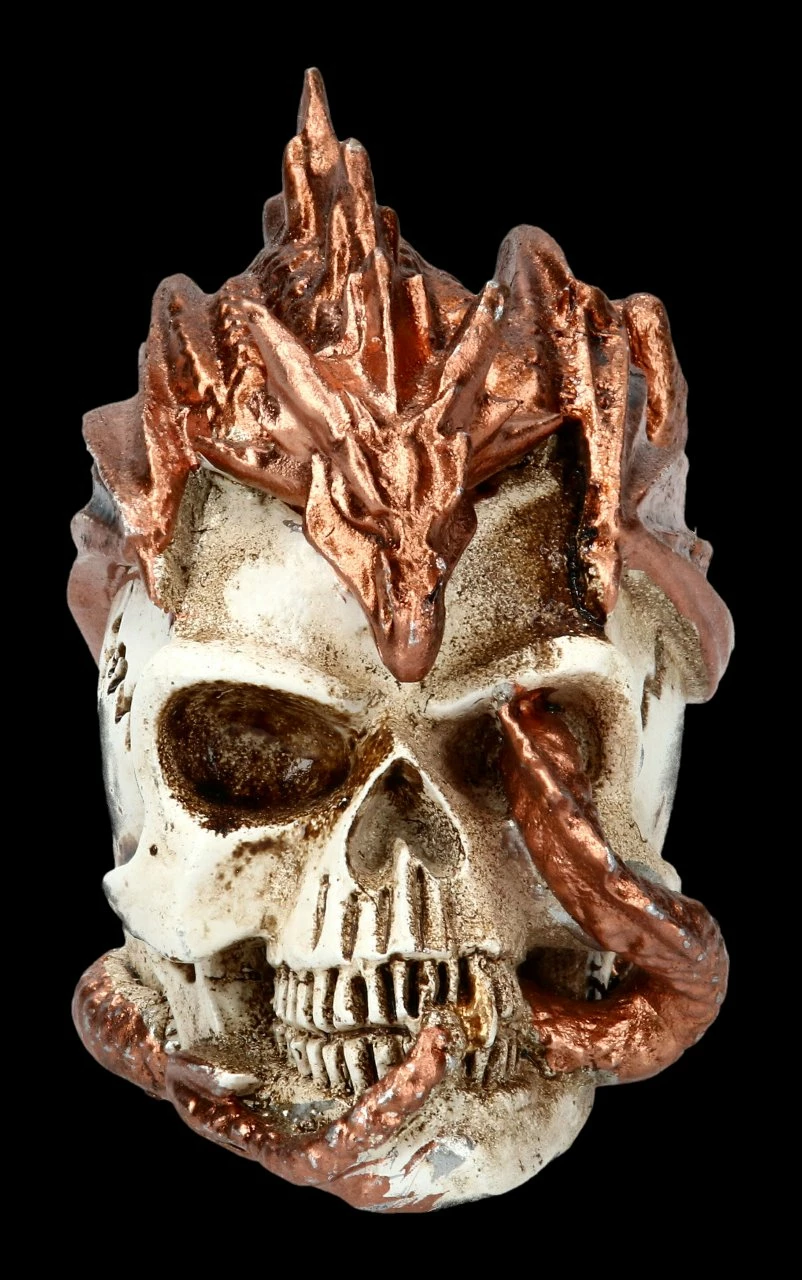 Alchemy Drache Auf Schädel - Klein 5 Alchemy Drache Auf Schädel - Klein – Bild 3