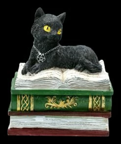 Schatulle - Katze Auf Grünen Büchern -FIGUREN Verkäufe 2D FS21977 Schatulle Katze auf greunen Buechern 1 1280x1280
