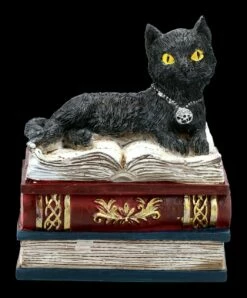 Schatulle - Katze Auf Roten Büchern 10 Schatulle - Katze Auf Roten Büchern -FIGUREN Verkäufe 2D FS21978 Schatulle Katze auf roten Buechern 1 1280x1280