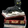 Schatulle - Katze Auf Roten Büchern -FIGUREN Verkäufe 2D FS21978 Schatulle Katze auf roten Buechern 3 1280x1280