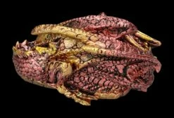 Rote Drachenfigur - Aaden -FIGUREN Verkäufe 2D FS22374 Rote Drachenfigur Aaden 3 1280x1280