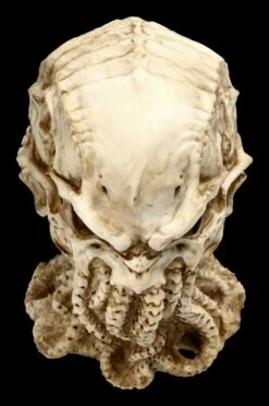 Cthulhu Totenkopf Figur By James Ryman -FIGUREN Verkäufe 2D FS22466 Cthulhu Totenkopf Figur by James Ryman 9 1280x1280