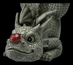 Gartenfigur - Drache Mit Marienkäfer Auf Der Nase -FIGUREN Verkäufe 2D FS22608 Gartenfigur Drache mit Marienkaefer auf der Nase 7 1280x1280