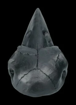 Handspiegel - Rabenschädel Schwarz 15 Handspiegel - Rabenschädel Schwarz -FIGUREN Verkäufe 2D FS22639 Handspiegel Rabenschaedel schwarz 3 1280x1280