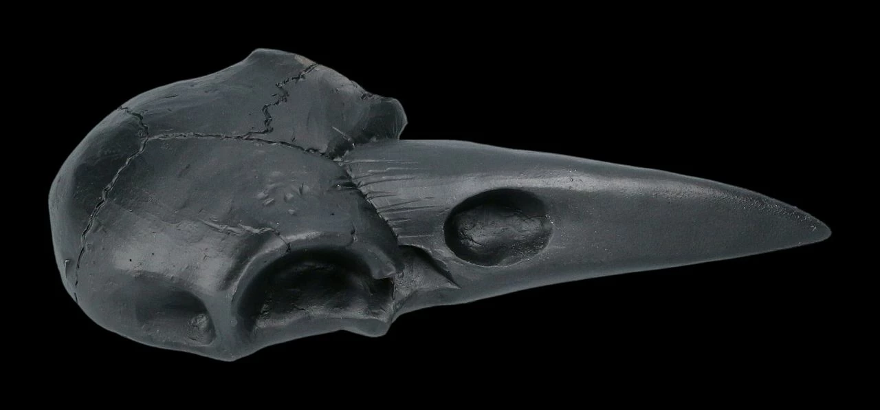 Handspiegel - Rabenschädel Schwarz 6 Handspiegel - Rabenschädel Schwarz – Bild 4