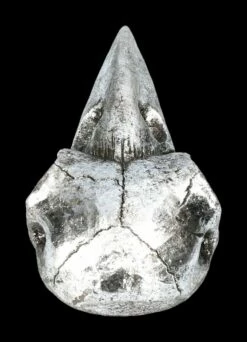 Handspiegel - Rabenschädel Silberfarben 15 Handspiegel - Rabenschädel Silberfarben -FIGUREN Verkäufe 2D FS22640 Handspiegel Rabenschaedel silberfarben 5 1280x1280