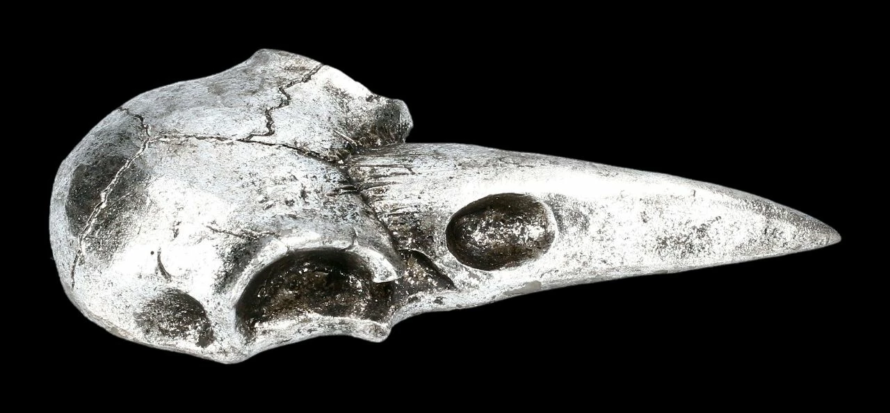 Handspiegel - Rabenschädel Silberfarben 6 Handspiegel - Rabenschädel Silberfarben – Bild 4