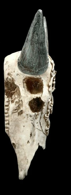 Wandrelief - Bison Totenkopf Mit Verzierung -FIGUREN Verkäufe 2D FS22660 Wandrelief Bison Schadel 8 1280x1280