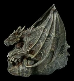 Spiral Drache Auf Totenkopf - Draco Skull 16 Spiral Drache Auf Totenkopf - Draco Skull -FIGUREN Verkäufe 2D FS22708 Drache auf Totenkopf Draco Skull 3 1280x1280