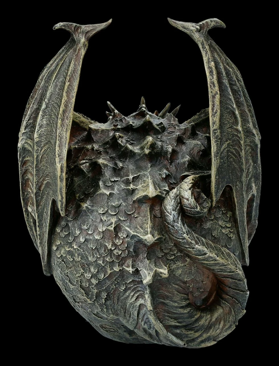 Spiral Drache Auf Totenkopf - Draco Skull 7 Spiral Drache Auf Totenkopf - Draco Skull – Bild 5