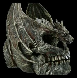 Spiral Drache Auf Totenkopf - Draco Skull 17 Spiral Drache Auf Totenkopf - Draco Skull -FIGUREN Verkäufe 2D FS22708 Drache auf Totenkopf Draco Skull 8 1280x1280