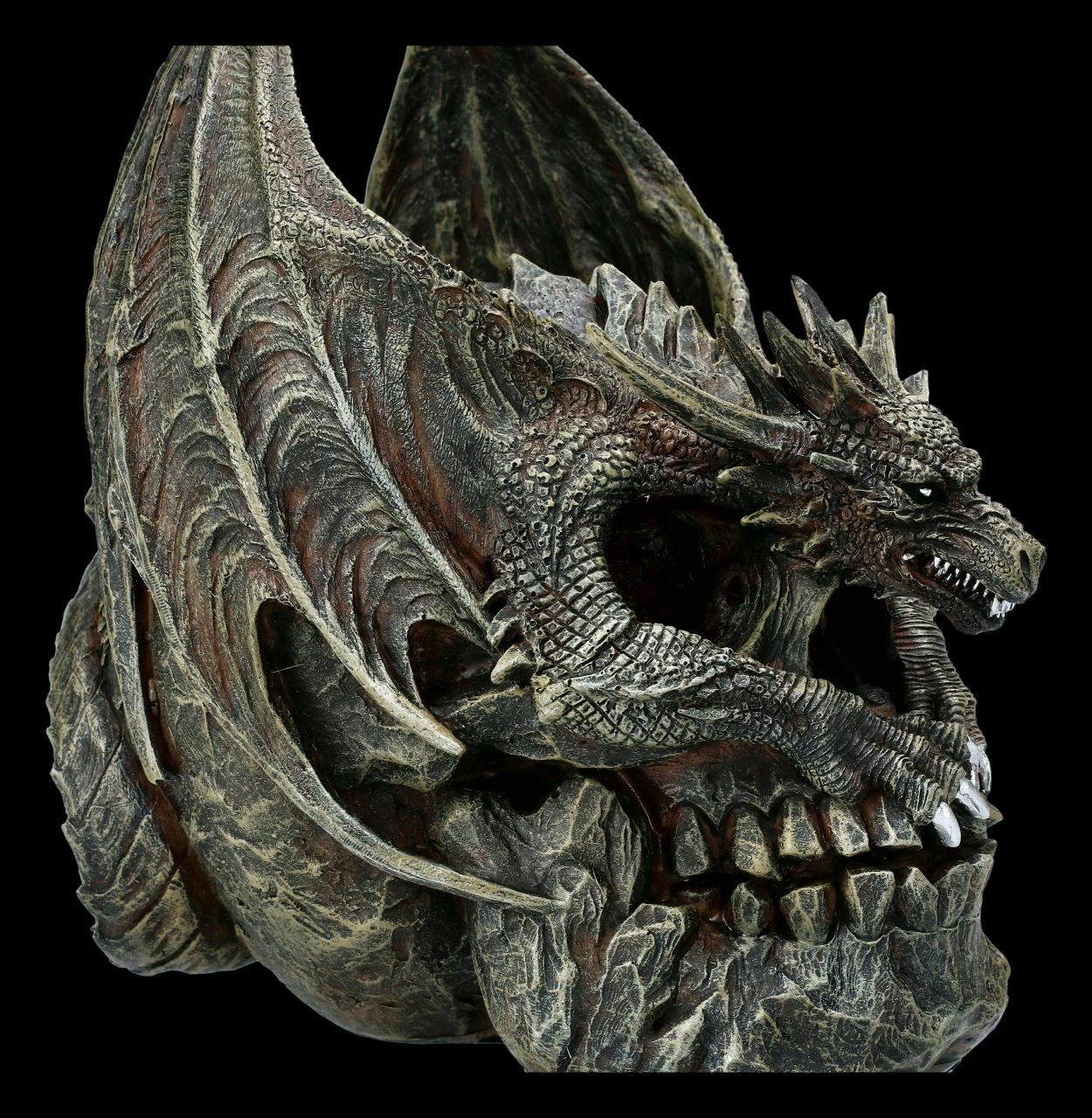 Spiral Drache Auf Totenkopf - Draco Skull 10 Spiral Drache Auf Totenkopf - Draco Skull – Bild 8