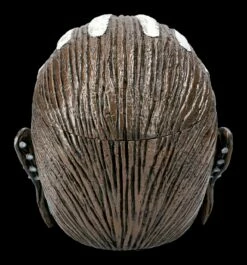 Iron Maiden Zombie Schädel Schatulle - Eddie Book Of Souls 15 Iron Maiden Zombie Schädel Schatulle - Eddie Book Of Souls -FIGUREN Verkäufe 2D FS22741 Zombie Schaedel Eddie Book of Souls 4 1280x1280