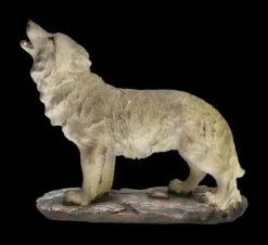 Wolf Figuren 4er Set - Wildes Rudel -FIGUREN Verkäufe 2D FS22821 Wolf Figuren 4er Set Wildes Rudel grau 21 1280x1280