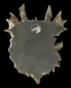 Wandrelief Waldland - Drache -FIGUREN Verkäufe 2D FS22955 Wandrelief Drache 12ZbJLsvVyW2YYV 1280x1280