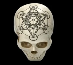 Totenkopf - Heilige Geometrie - Metatron Würfel -FIGUREN Verkäufe 2D FS23022 Totemkopf Heilige Geometrie Metatrons W rfel 18 1280x1280